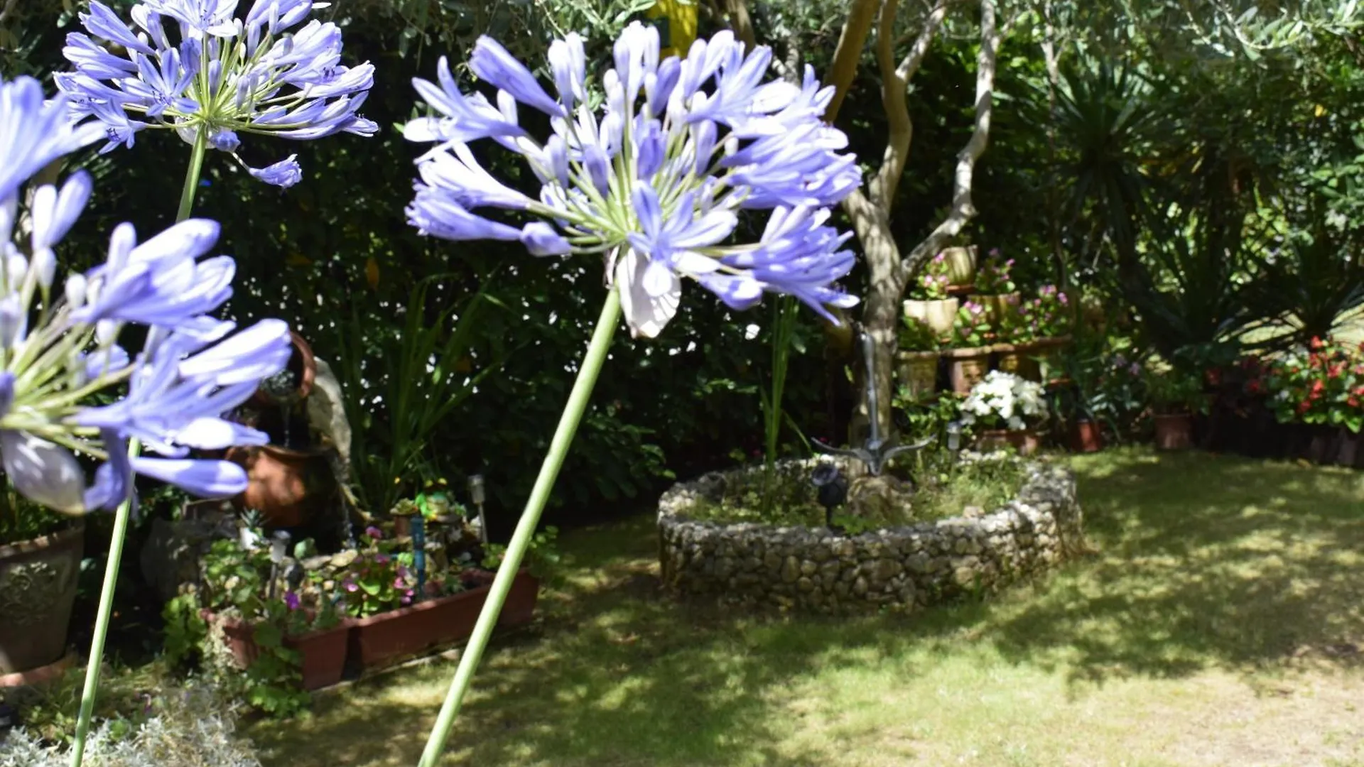 Apartment Tulip Malinska